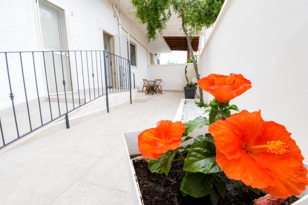 B&B Macchia Mediterranea San Pietro in Bevagna Eksteriør bilde