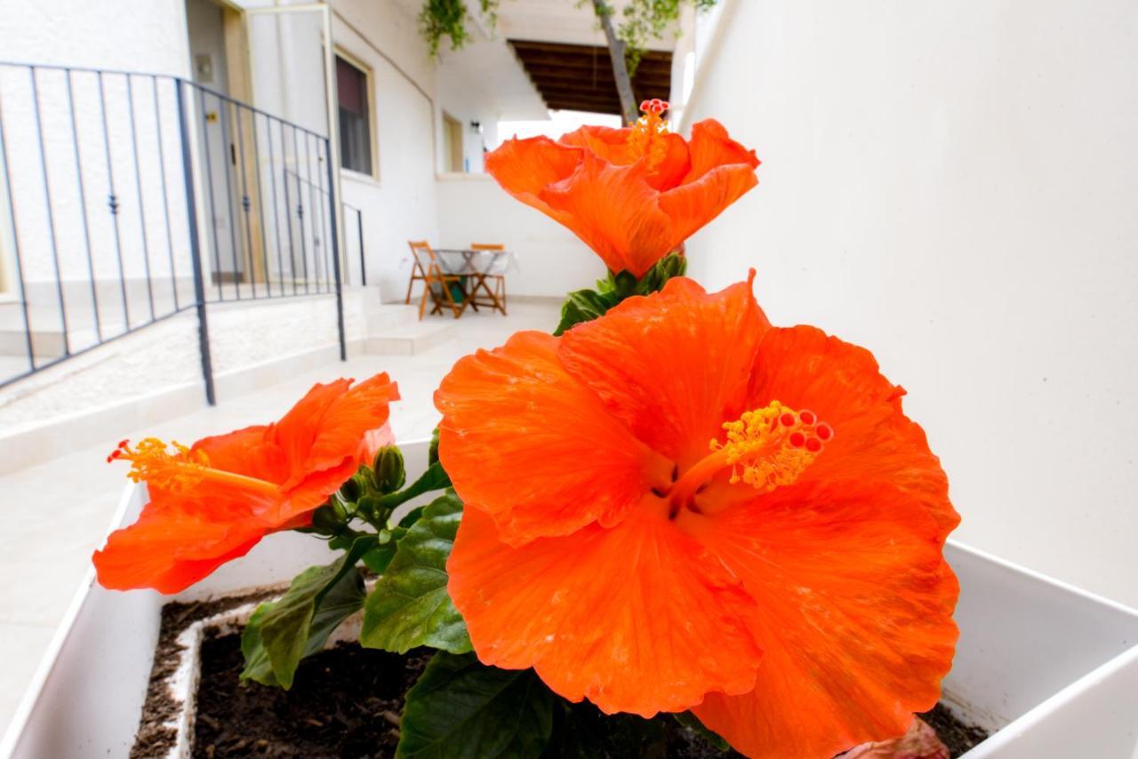 B&B Macchia Mediterranea San Pietro in Bevagna Eksteriør bilde